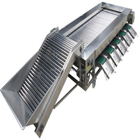 Industriële tomaten sorteermachines, fruitrolsorteerders, automatische fruit- en groentesorteermachines