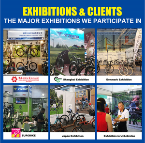 Vente en gros directe d'usine, vitesse maximale de 25 Km/h, vélo électrique pliant 36V/250W, nouvelle conception de vélo électrique pliant - Product Image 6