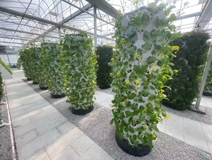 Torre hidropónica de piña a un precio único con estructura duradera y estable con bomba como componente central - Product Image 4