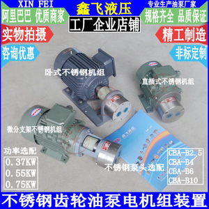 Ensemble de pompe à huile à engrenages en céramique et acier inoxydable CB-B2.5/B4/B6/B10/B16/B20/B25/B32 pour huiles différentielles - Product Image 1