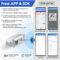 DX-CP30 balise NFC portable convient au positionnement du personnel et aux petits événements sportifs, traqueur de balise Bluetooth