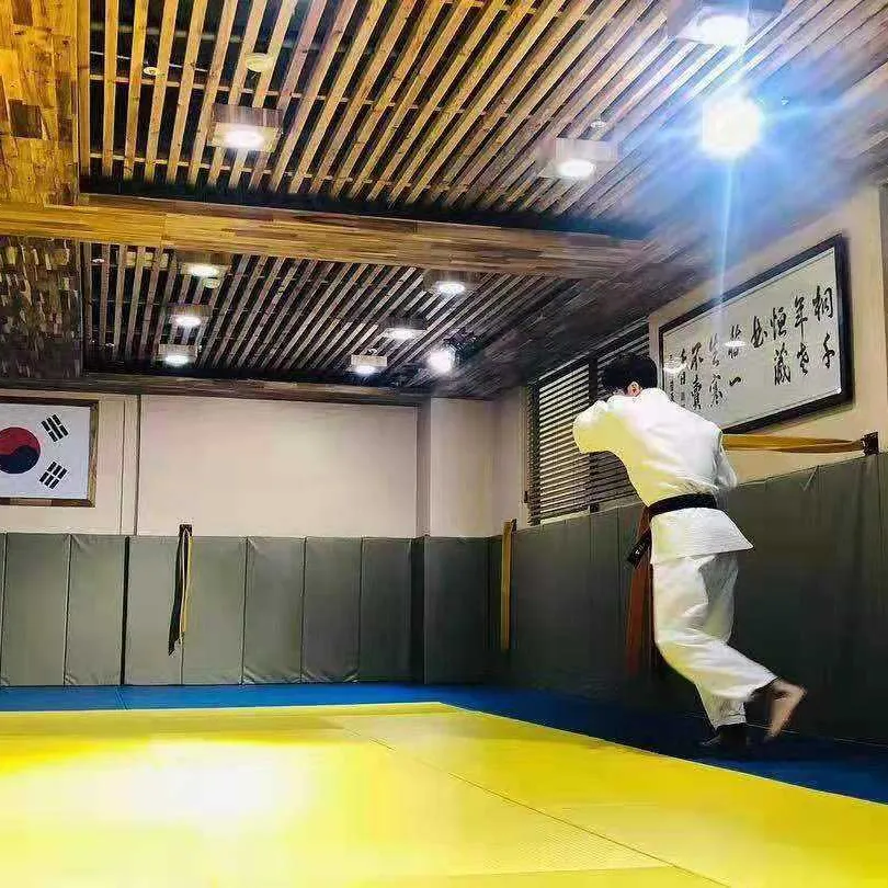 Tapis de judo antidérapant de qualité événementielle Tapis d'entraînement d'arts martiaux BJJ