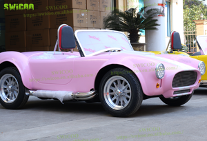 Voiture de <span class=keywords><strong>golf</strong></span> rétro neuve, classique <span class=keywords><strong>Cobra</strong></span> 150cc, essence, 4 temps, voitures de tourisme vintage, mini hot rod, voiture de <span class=keywords><strong>club</strong></span> - Product Image 4