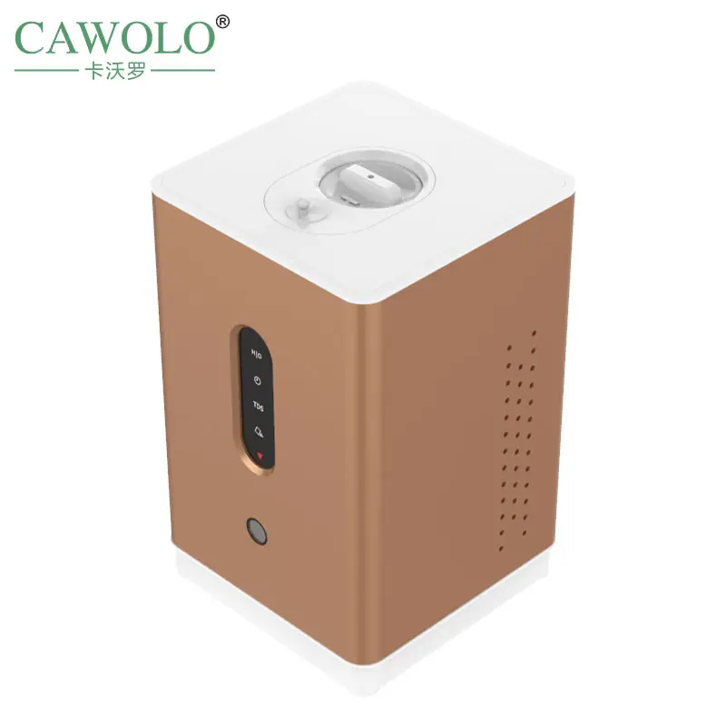 Cawolo high hydrogen 99.99% electrolyzer price electrolyzer hydrogen generator