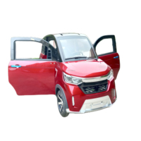 Mini-voiture électrique fermée, scooter de mobilité biplace, homologuée CEE L6e, batterie au plomb-acide, vitesse 25 km/h, voiture électrique à vendre