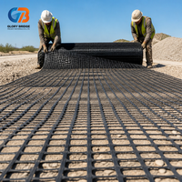 Grillage géosynthétique biaxial en PP de haute qualité pour le renforcement des routes, des allées et des fondations de sols molles