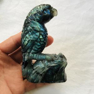 Commercio all'ingrosso fatto a mano Naturale Labradorite <span class=keywords><strong>Pappagallo</strong></span> Scultura di Cristallo in Flash uccello <span class=keywords><strong>Regalo</strong></span> per la decorazione - Product Image 2