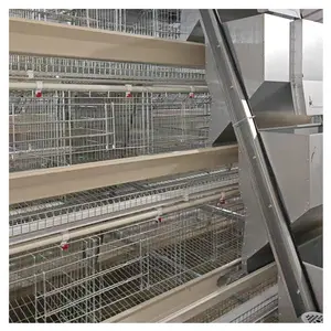 C Nail Fixing And Battery Poultry Equipment For 20k On Global Digital Export Platform Chicken Cage