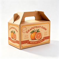 Grapefruit Geschenkdoos met Handvat, Offsetdruk Waterdichte Anti-Kneus Gable Box voor Boerderijbezorging, Aangepast Logo Groothandel