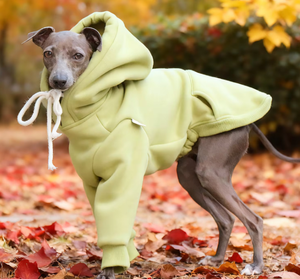 Sweat à capuche sportif en coton couleur unie pour <span class=keywords><strong>chien</strong></span>, automne-hiver, pour lévrier italien, whippet, <span class=keywords><strong>saluki</strong></span>, bedlington terrier -1 - Product Image 3