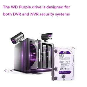 Wholesale Purple Hdd 1tb 2tb 3tb 4tb 6tb 8tb 10tb Disco Duro Hard Disk Drive Purple Hdd For Cctv Camera Dvr Used Refurbished Hdd