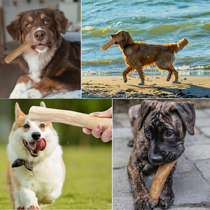 Personalizzato di fabbrica naturale durevole in legno di caffè cane bastone giocattolo interattivo denti puliti indistruttibile giocattolo per cani da masticare - Product Image 2