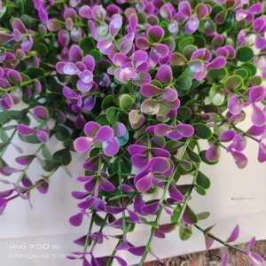 Pared de plantas de césped <span class=keywords><strong>artificial</strong></span> ignífugo UV respetuoso con el medio ambiente para decoraciones al aire libre ocasiones de cumpleaños - Product Image 5