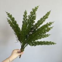 Tanaman Hias Asparagus Densiflorus Buatan, Daun Poliester Simulasi, Tahan UV, Dekorasi Lanskap Dalam Ruangan
