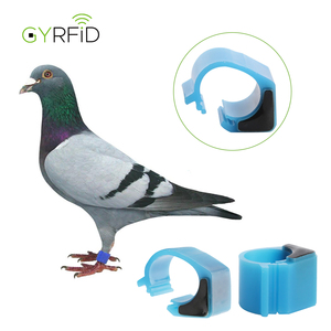 RFID 동물 발 반지 LF Hitag2 /S256 새 반지 태그 비둘기 추적 레이싱 비둘기 반지 태그 - Product Image 1