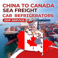 Agent maritime Chine-Canada : Ligne de fret océanique CA, expédition en vrac, service de fret premium, Victoria, Delta, Qingdao – Direct et stable