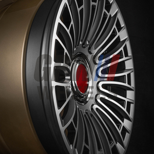 Delicate Multi Spoke Three Piece 6061-T6 Forged Alloy Rim With Center Cap Custom Surface Treatment Adjustable Fitment - Product Image 4