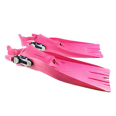 Rose vif