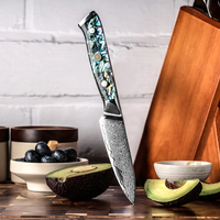 Japans Mes-Vg10 Damascus Stalen Mes Met Ergonomisch Schaalhandvat