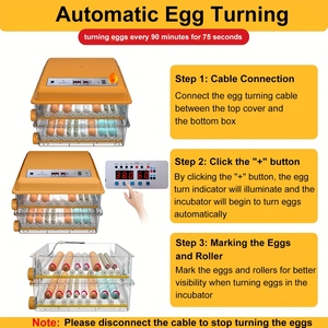 CE 인증 계란 인큐베이터-저소음 작동 및 계란 롤링 시스템을 갖춘 가정용 자동 가금류 부화기 - Product Image 5