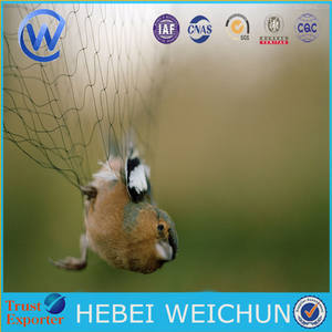 Pájaro redes de niebla 110d/2ply x 102md x 100 m 0.12mm * 18*18mm/2 M * 15 m a Arabia Saudita/Rede párr captura de passaros - Product Image 2