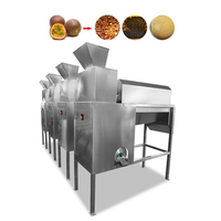 Roestvrijstalen Passievruchtzaden Die Machine Scheiden Passievruchtafscheider Pulping & Extractie Passievruchtensap Machine