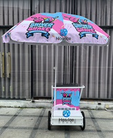 Chariot de vente ambulante pour desserts, glaces italiennes, avec refroidissement direct, 2 portes et 2 étagères, congélateur de présentation pour bâtonnets glacés