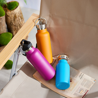 Haers Factory 350ml/500ml Bouteille d'eau isolée en acier inoxydable à double paroi 304 avec poignée pour voyage et camping