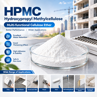 HPMC Hydroxypropylméthylcellulose, éther de cellulose à haute rétention d'eau, épaississant et adhérent pour matériaux de construction