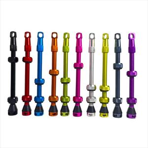 Nouveau produit tige de valve Presta Tubeless en alliage d'aluminium à grand trou pour vtt vélo de route 44mm 50mm 55mm 60mm - Product Image 1