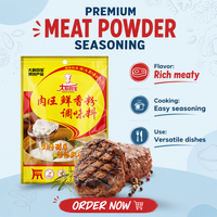 Poudre d'assaisonnement de viande premium, amplificateur de saveur Umami pour les usines de snacks, vente en gros