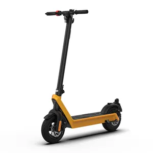 Germania francia Standard velocità massima 20 km/h 500w EU 120KG carico Scooter elettrico prezzo auto india con prezzo per la svezia