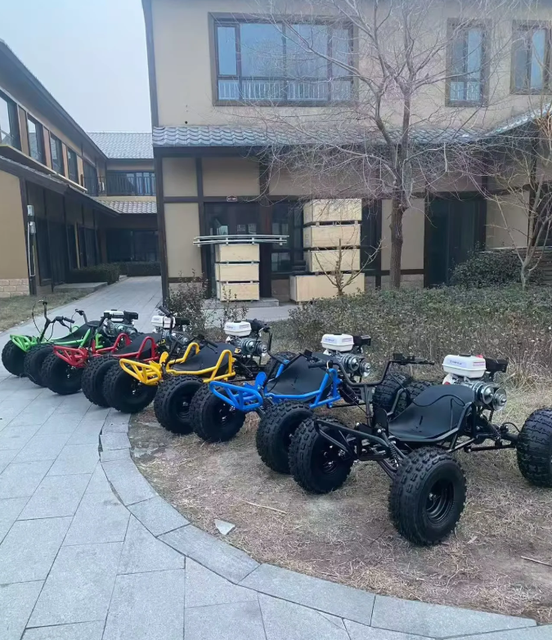 High Quality Professional Pedal Electric Racing Kart Off-Road for Kids & Adults with Adjustable Speed and 200kg Load Capacity