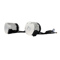 Kit de Moteur Électrique pour Moto Électrique à Bas Coût et Personnalisé, Moteur à Courant Continu 36V à Basse Température, Moteur de Moyeu pour Vélo Électrique avec Contrôleur