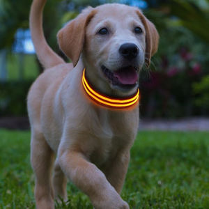USB ajustável LED Dog Collar com Quick Release Feature tamanho personalizado impressão padrão fitas decorativas - Product Image 2