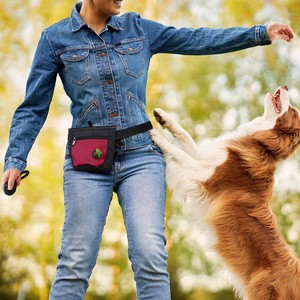 Free sample Pet Easily Carries Treat Tote <b>Training</b> <b>Dog</b> Treat Bags Custom <b>Dog</b> Treat <b>Pouch</b> Portable Adjustable <b>Dog</b> Walking Bag - Product Image 4