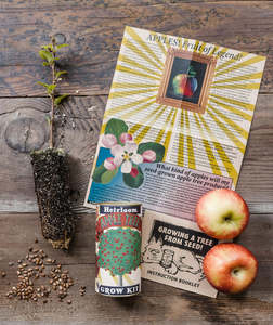 Kit de jardin de <span class=keywords><strong>pommier</strong></span> à germination 100% garanti personnalisé avec <span class=keywords><strong>pot</strong></span> <span class=keywords><strong>en</strong></span> étain Design rectangulaire pour la plantation à domicile Utilisation au sol de bureau - Product Image 3