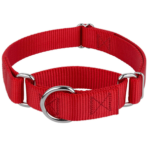 उन्नत नायलॉन एंटी-एस्केप मार्टिंगले कुत्ते कॉलर सुरक्षित समायोज्य कुत्ते कॉलर सुरक्षित एडजस्टेबल कुत्ते कॉलर दैनिक उपयोग चलना प्रशिक्षण कॉलर - Product Image 2