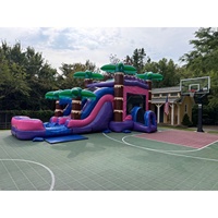 Château gonflable tropical personnalisable pour princesses, combo château de rebond girly avec souffleur d'air pour location événementielle
