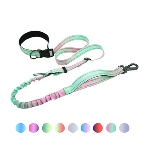 Laisse pour chien en nylon élastique dégradé, anti-traction, absorbant les chocs, réglable, pour l'entraînement et la promenade, possibilité d'ajouter un logo personnalisé. - Product Image 1