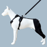Genouillère pour chien avec harnais pour jambe déchirée CCL Luxating Patella Dog Genouillères pour jambe arrière Joint chaud et soulage les douleurs articulaires