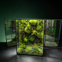Mousse stabilisée décorative intemporelle, mousse préservée pour terrarium, jardin magique, idéal pour la décoration de bureau et de maison