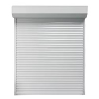 Porte de garage résidentielle moderne en alliage d'aluminium, porte à enroulement, télécommande électrique, silencieuse, antivol