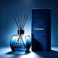 Bouteille en verre vide de 100 ml et 200 ml pour diffuseur de parfum d'ambiance écologique à bâtonnets, pour huiles essentielles