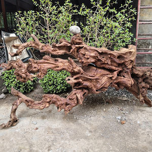 Aquaria Accessoires Decoratie Drift Hout Water Gras Lijm Decoraties Plant Aquarium - Product Image 1