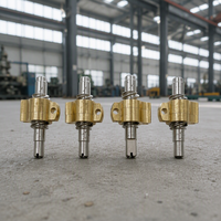 Vis à billes miniature en acier inoxydable de haute précision, type T, avec écrou à filetage laminé, longueur 100-5000 mm, petit moteur de roulement CNC 3D