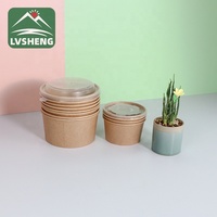 Bols jetables en papier kraft, pièces, emballage à emporter, soupe à emporter chaude, bol de restauration rapide, conteneurs à lunch avec couvercles