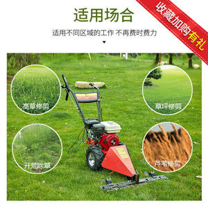 Potente Cortadora de Césped Autopropulsada - Product Image 2