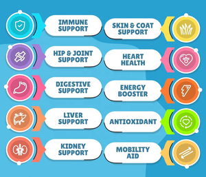 <span class=keywords><strong>Compresse</strong></span> Masticabili Multivitaminiche 10 in 1 per Cani e Gatti OEM/ODM, ad Alto Contenuto Proteico, Senza Cereali, con Condroitina e Olio di Pesce per la Salute di Pelle e Cuore - Product Image 2