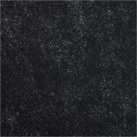 Filtre à charbon actif personnalisé robuste pour purificateurs d'air Whispure séries 8171434K/1183054K/AP300-AP510, respectueux de l'environnement
